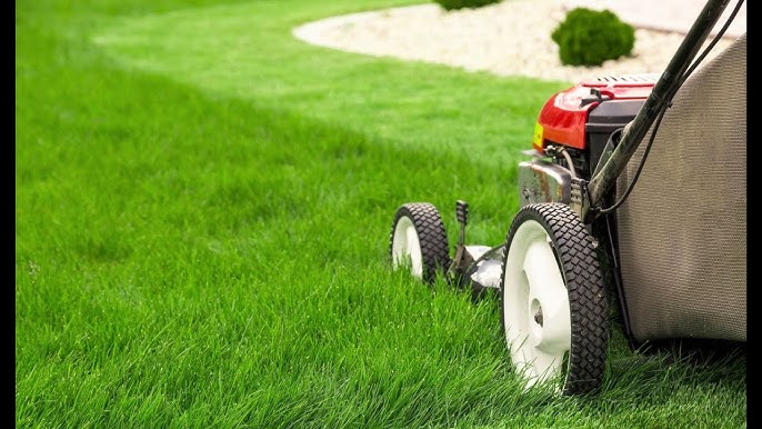 🌿 Lawn Mowing in Wembley – Available Saturdays (I Use Your Mower)