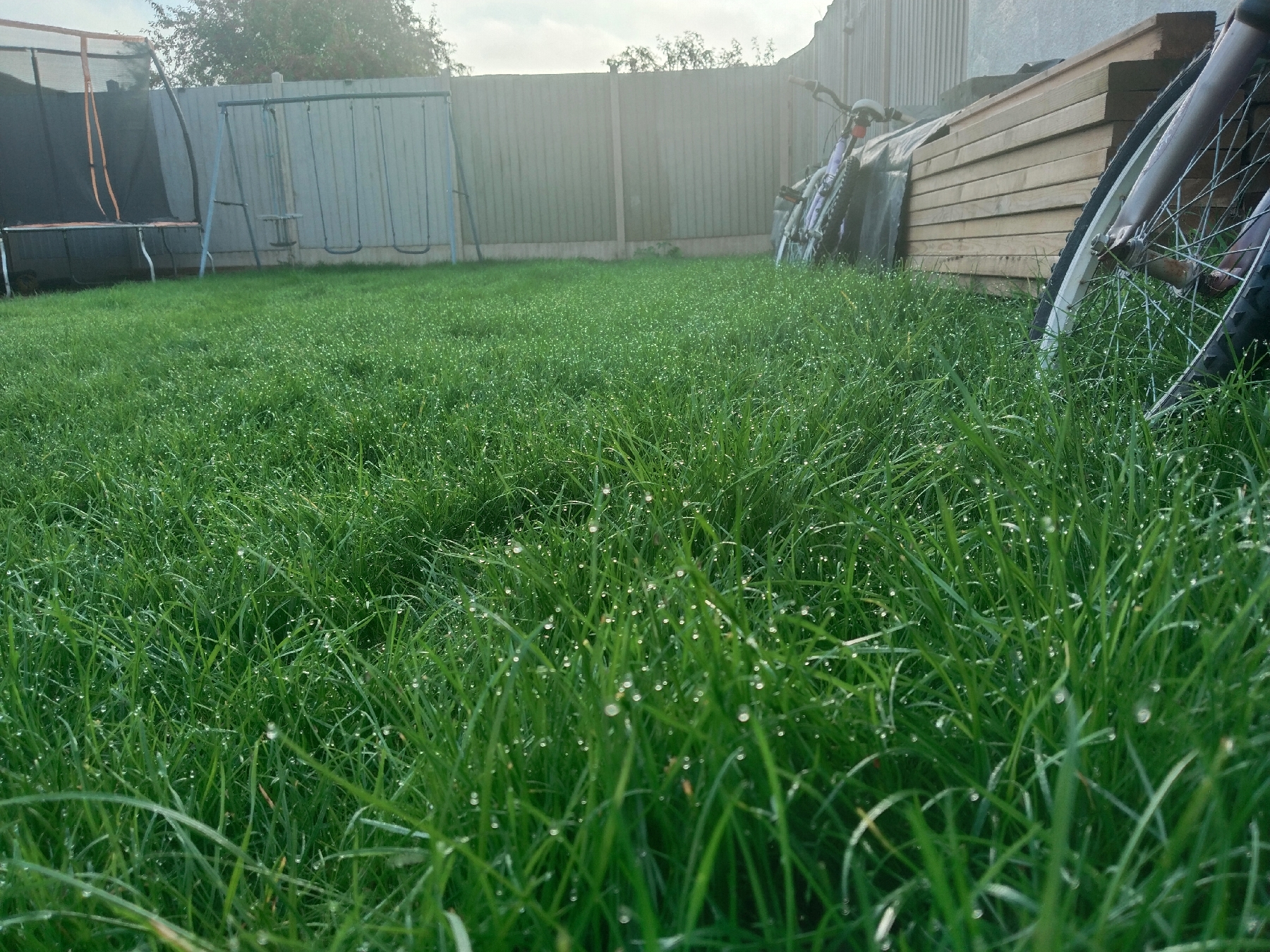 Mowing