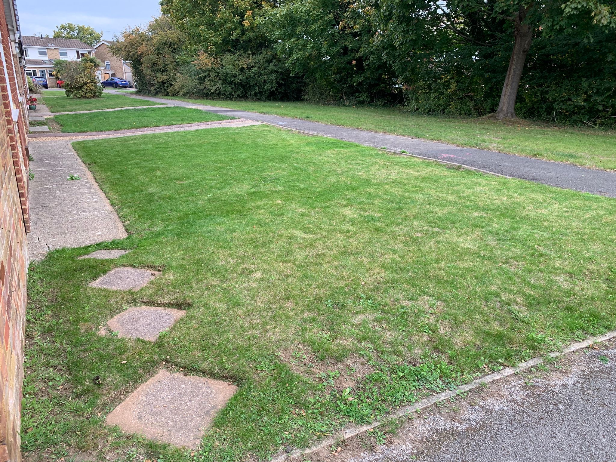 Gardener in Maidenhead